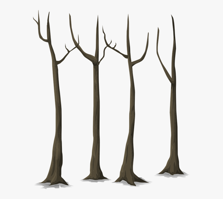 Transparent Dark Forest Png - Tree Trunk Vector Png, Transparent Clipart