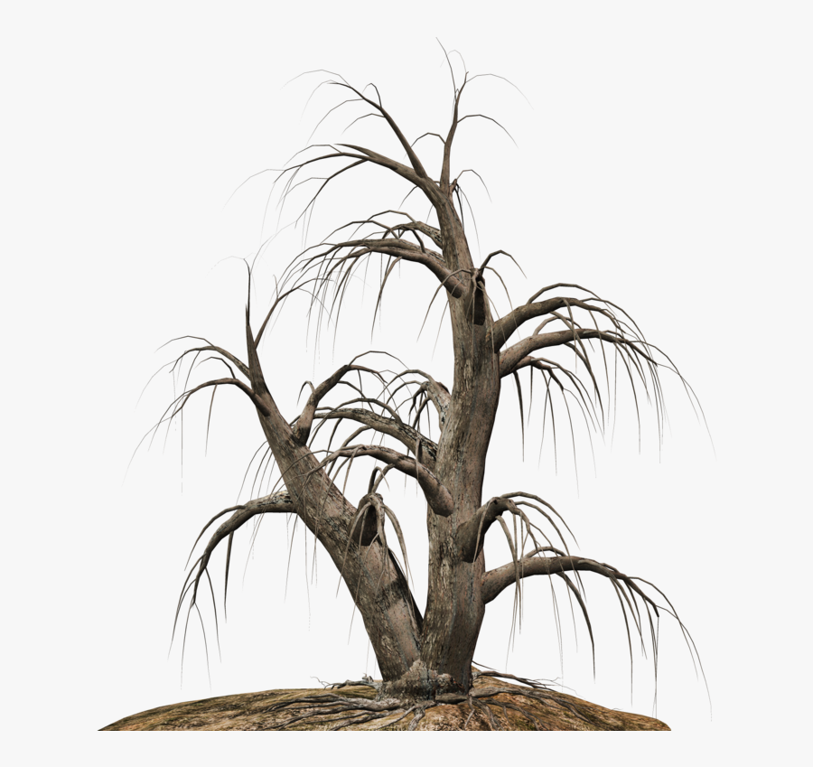 Dead Tree Clipart Desert Png - Portable Network Graphics, Transparent Clipart