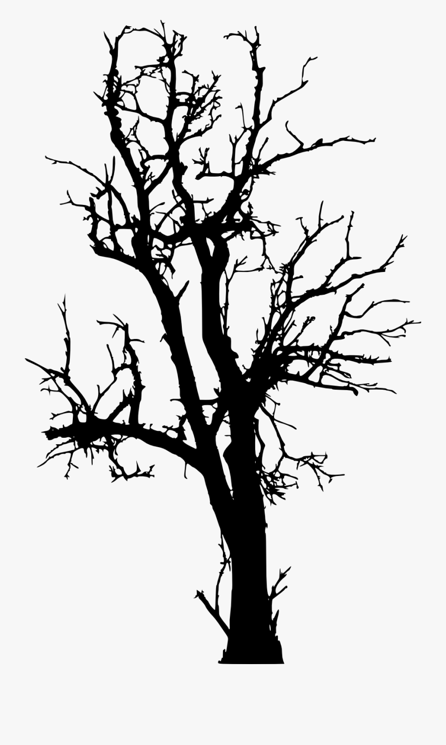 Tree Branch Woody Plant Twig - Dead Tree Silhouette Png, Transparent Clipart