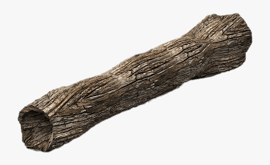 Dead Tree Trunk - Stick Png, Transparent Clipart