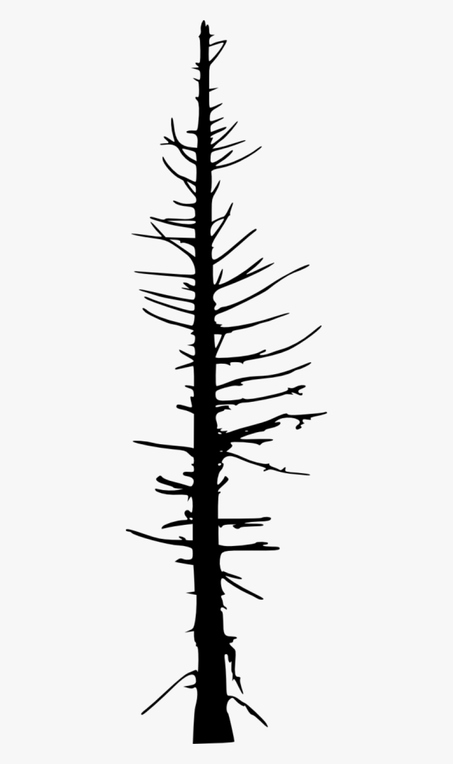 Dead Pine Tree Silhouette, Transparent Clipart