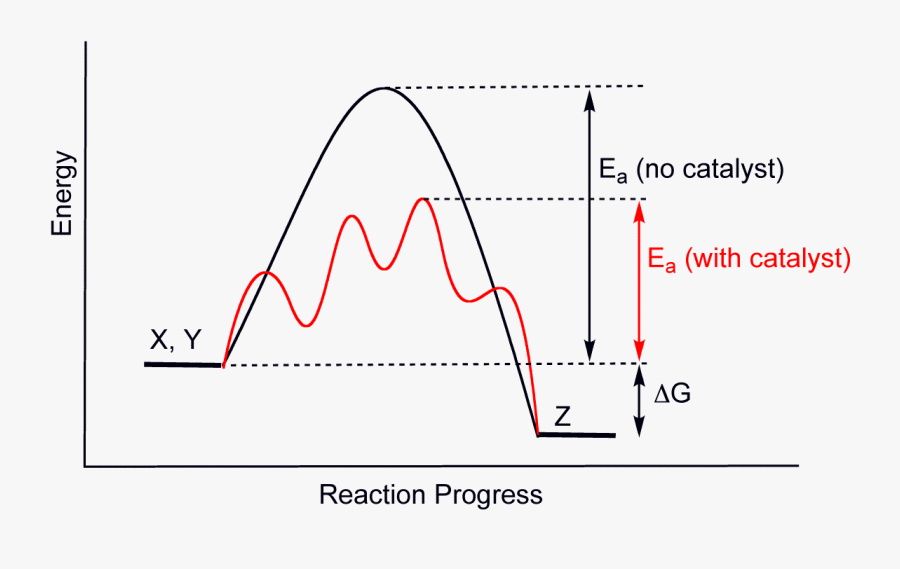 Catalytic Reaction , Free Transparent Clipart - ClipartKey