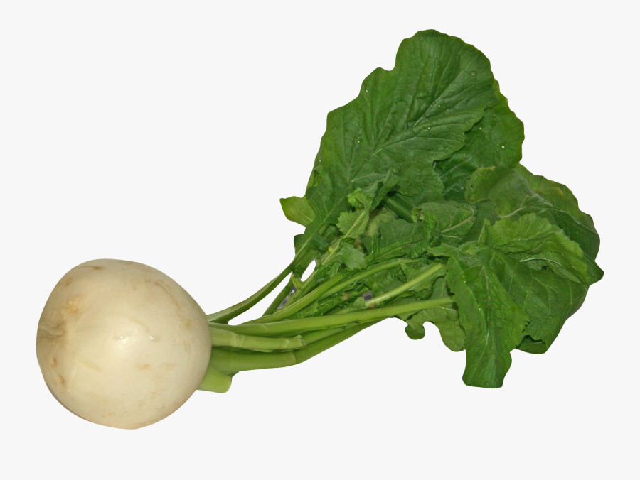 Clipart Vegetables Turnip - Turnip Png, Transparent Clipart