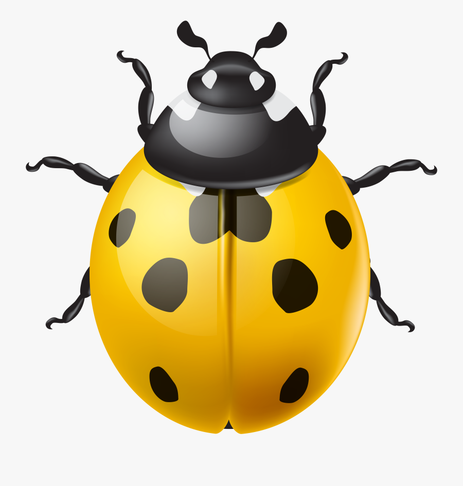 Ladybird Png Clip Art, Transparent Clipart