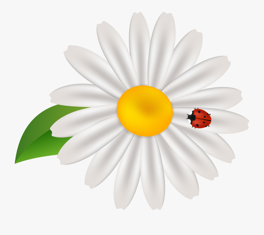 Spring Flower With Lady Bug Transparent Clip Art, Transparent Clipart
