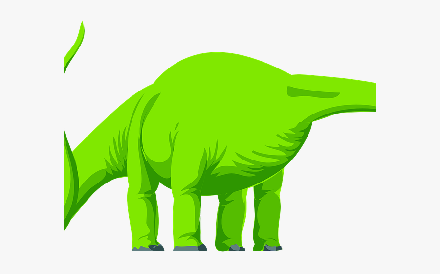 Stegosaurus Clipart Brontosaurus - Herbivore Dinosaur Clipart, Transparent Clipart