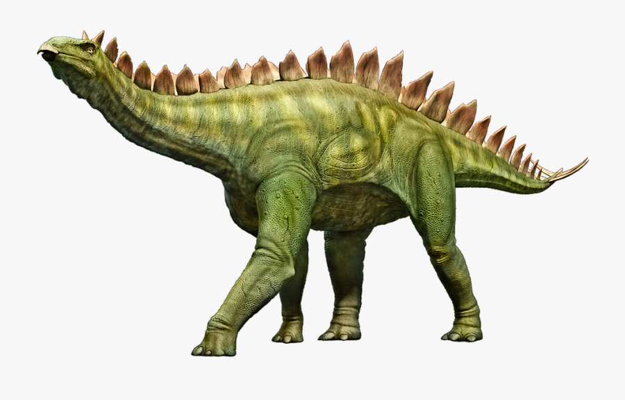 Stegosaurus Dinosaur Stego - Dinosaurios Stegosaurus, Transparent Clipart