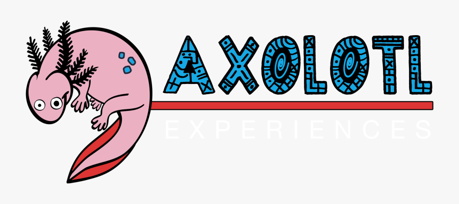 Axolotl Experiences City Tours, Transparent Clipart