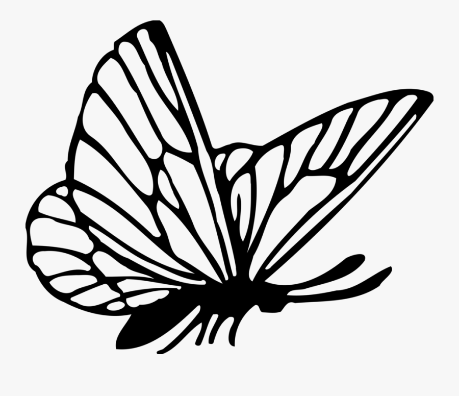 Transparent Daydreaming Clipart - Butterfly Drawing Png, Transparent Clipart