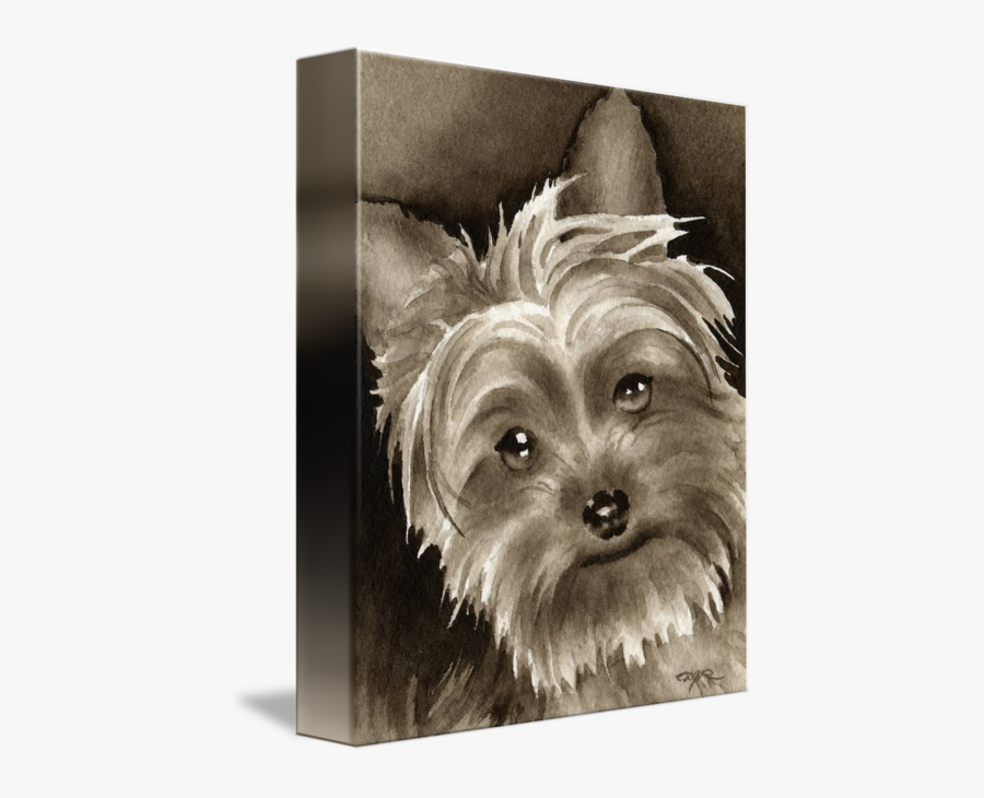 Transparent Yorkie Png - Yorkshire Terrier , Free Transparent Clipart ...