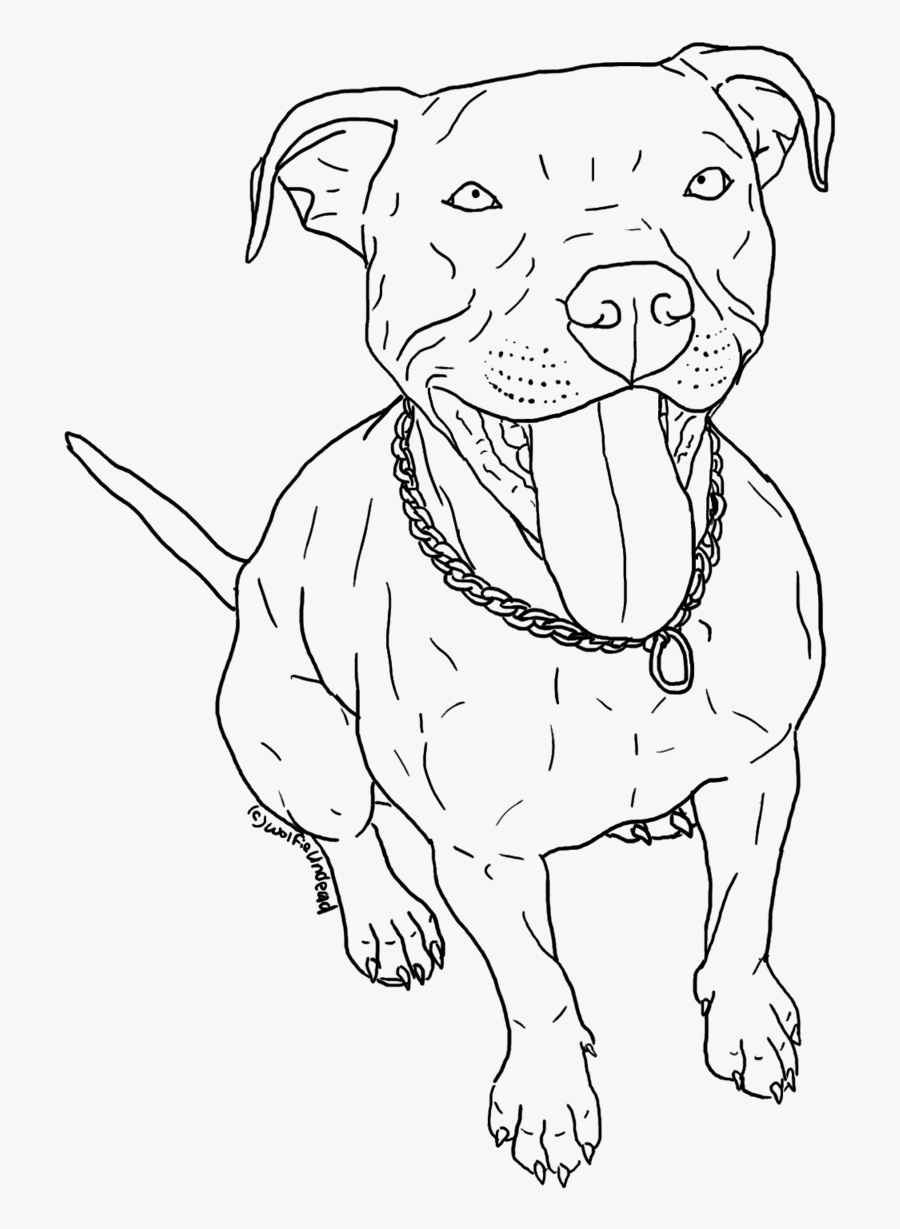Pit Bull Clipart Drawing, Transparent Clipart