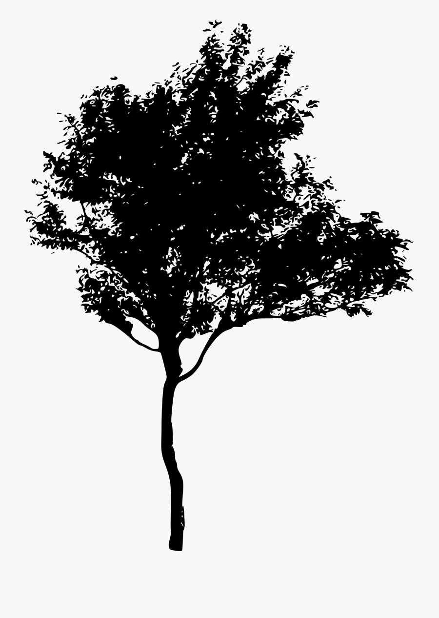 45 Tree Silhouettes Png Transparent Background - Silhouette Of A Tree Png, Transparent Clipart