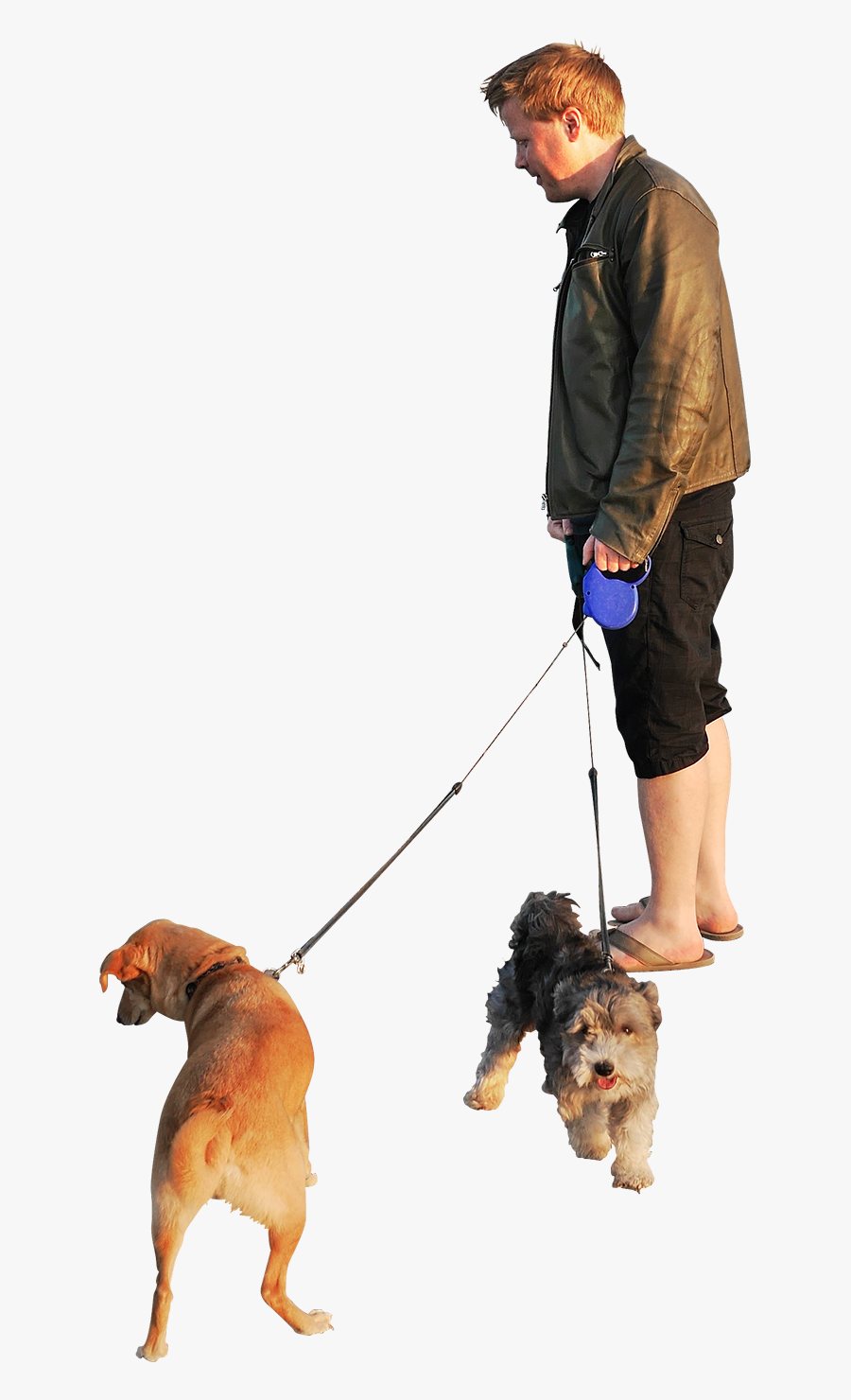 People Walking Dog Png - Person Walking Dog Transparent Background, Transparent Clipart