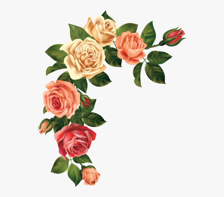 Розы - Rose Page Border Png, Transparent Clipart