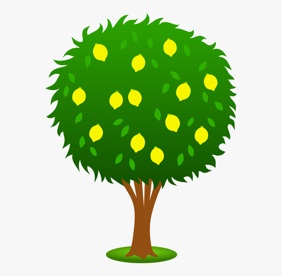 Trees Clipart Free - Orange Tree Clipart Png, Transparent Clipart