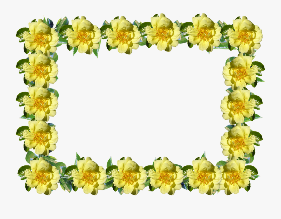 Frame, Border, Rose, Yellow, Floral - Rose, Transparent Clipart