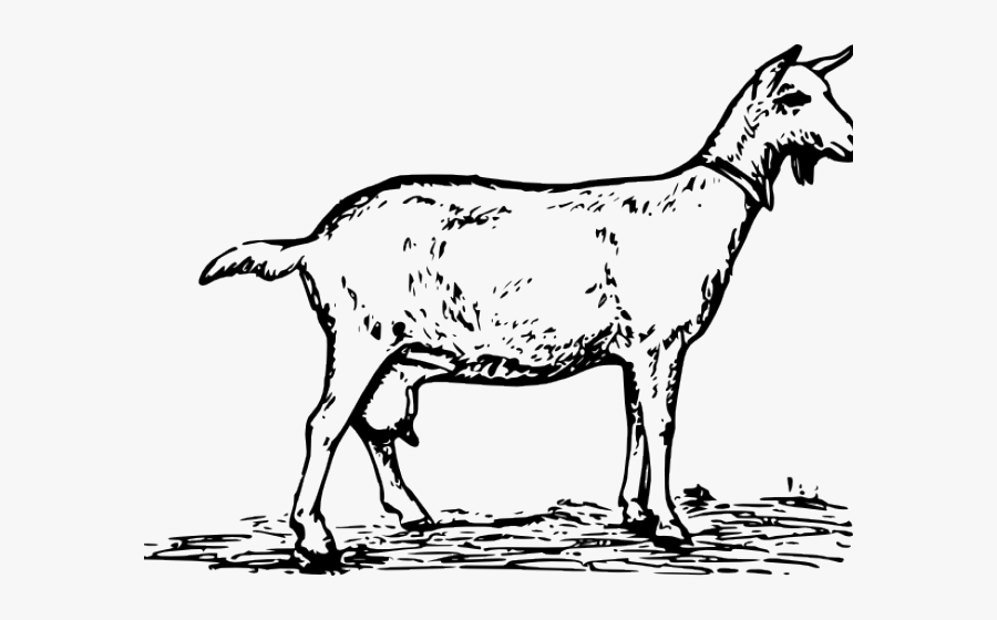 Goat Black And White Clipart, Transparent Clipart