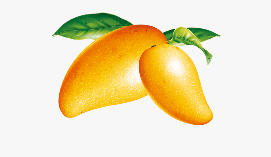 Mango, Transparent Clipart