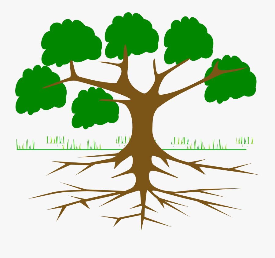 Root Cause Tree Analysis, Transparent Clipart