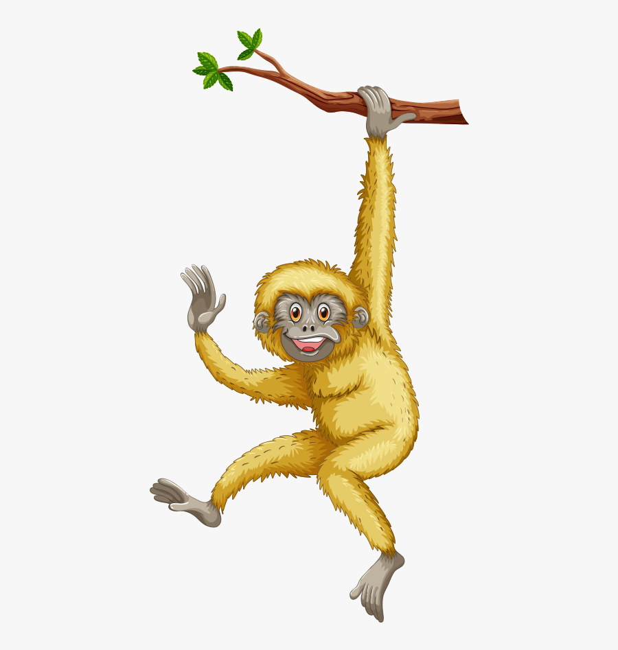 Monkey, Transparent Clipart
