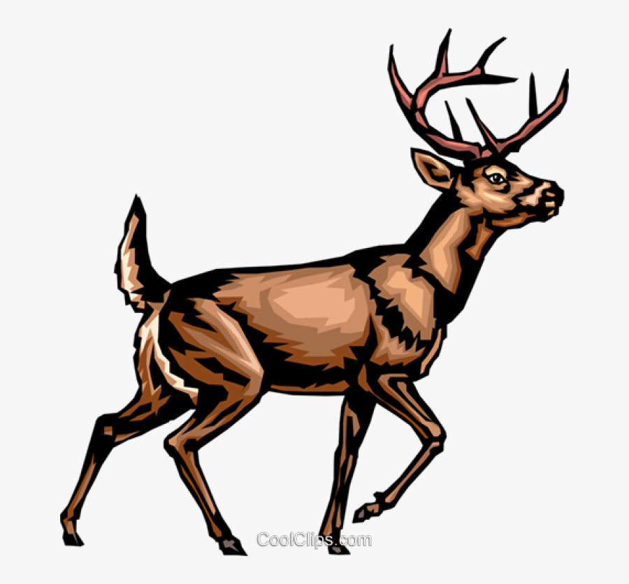 Clip Art Image Www - Deer Clip Art, Transparent Clipart