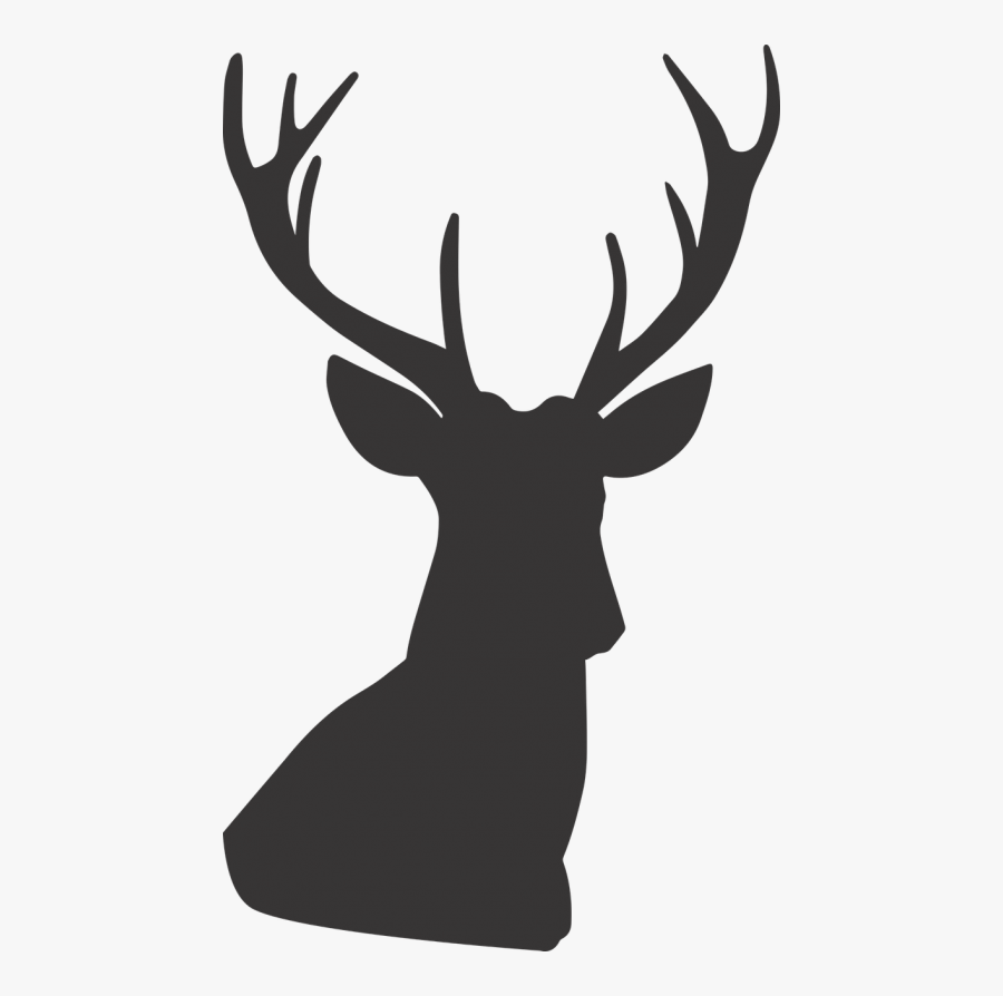 Deer Deer Silhouette Silhouette - غزال رسم, Transparent Clipart