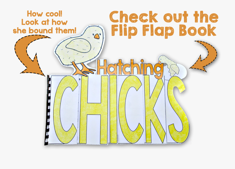 Hatching Chicks - Cartoon, Transparent Clipart