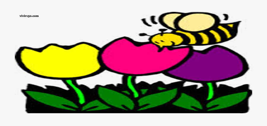 Flowers And Bees Cartoon Clipart , Png Download - Honey Bee With Flower Clipart, Transparent Clipart