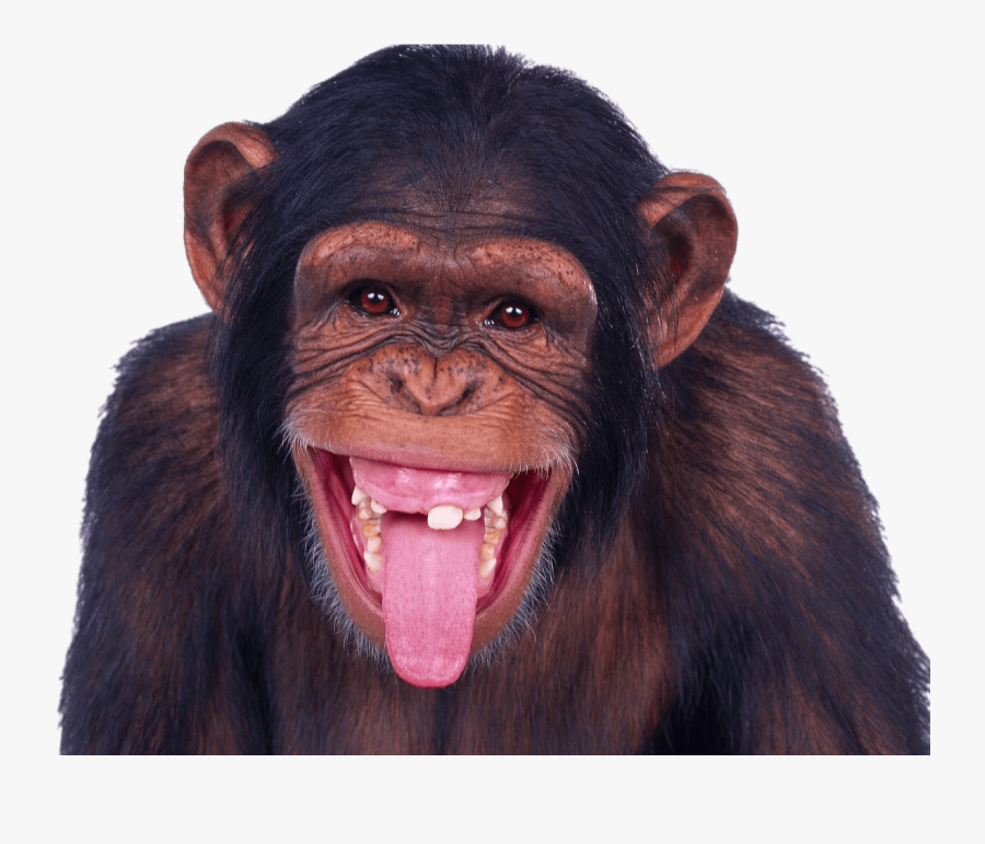 Sticking Out Tongue Transparent - Happy Monkey, Transparent Clipart