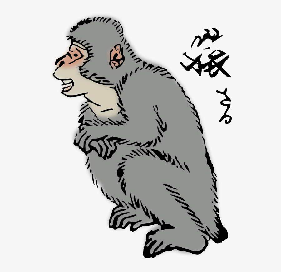 Human Behavior,wildlife,art - Clip Art Of Macaque, Transparent Clipart