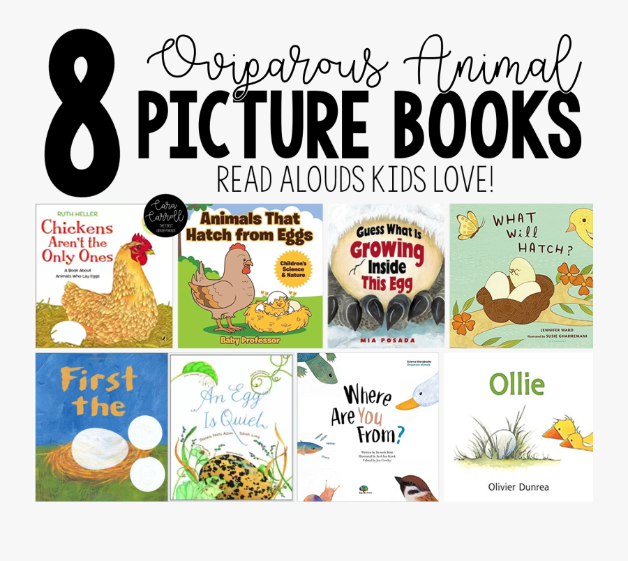 Learning About Oviparous Animals - Children's Books About Oviparous Animals, Transparent Clipart