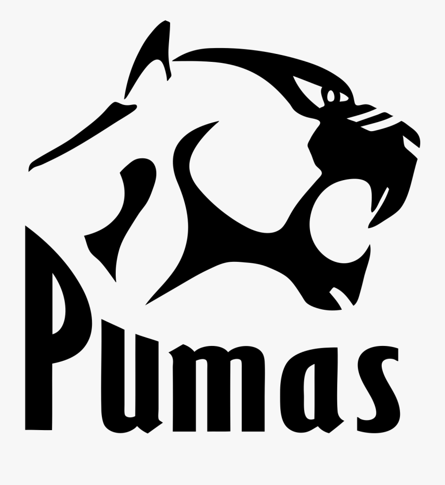 Pumas Rugby Logo - South African Rugby Teams Logos, Transparent Clipart