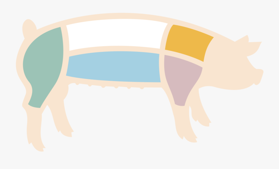 Ham Clipart Pork Roast - Primal Cuts Of Pork Blank, Transparent Clipart