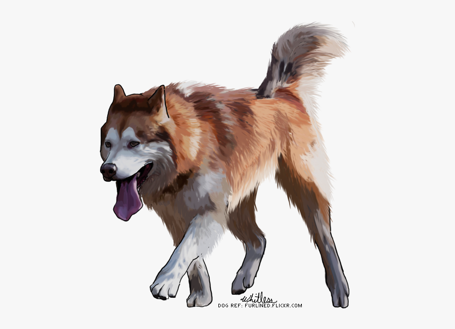 Red Husky Dog Drawing, Transparent Clipart