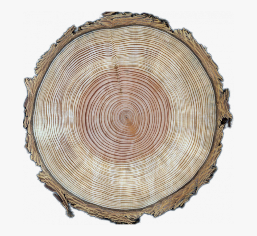 Wood Circle Transparent Image, Transparent Clipart