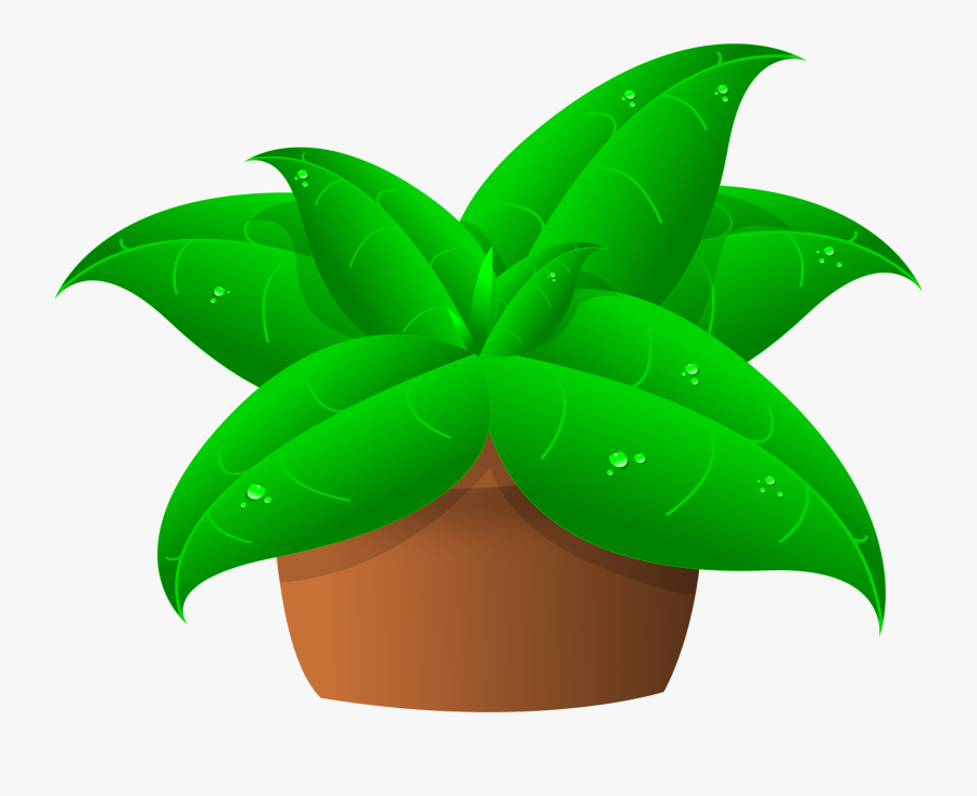 Clipart Plant, Transparent Clipart