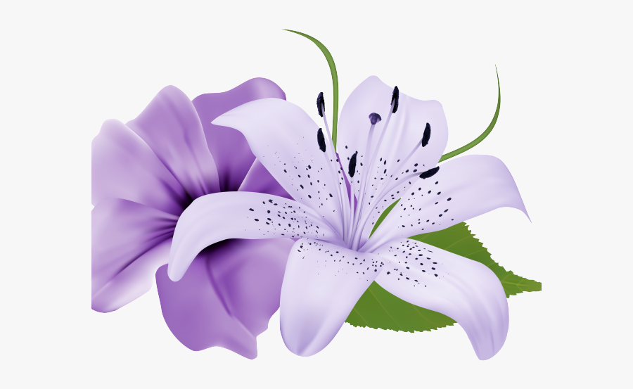 Purple Flowers Transparent Background, Transparent Clipart