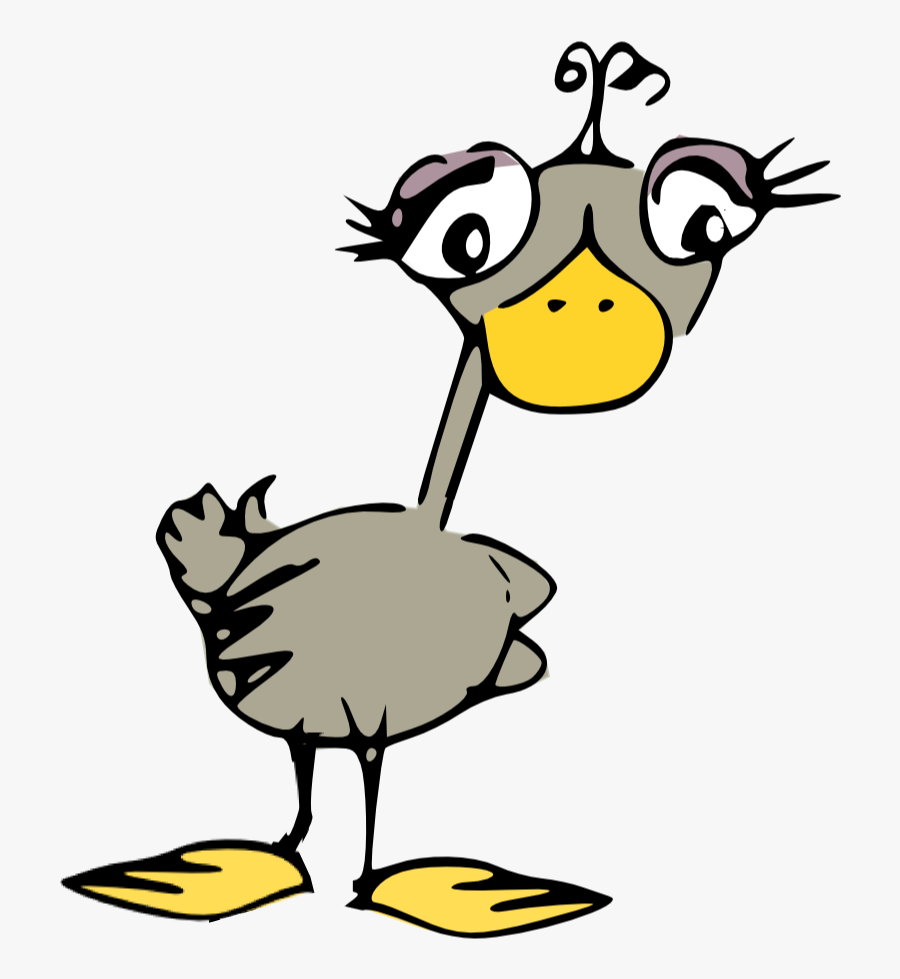 Scrap Bird Doodle Png - Silly Bird Clip Art, Transparent Clipart