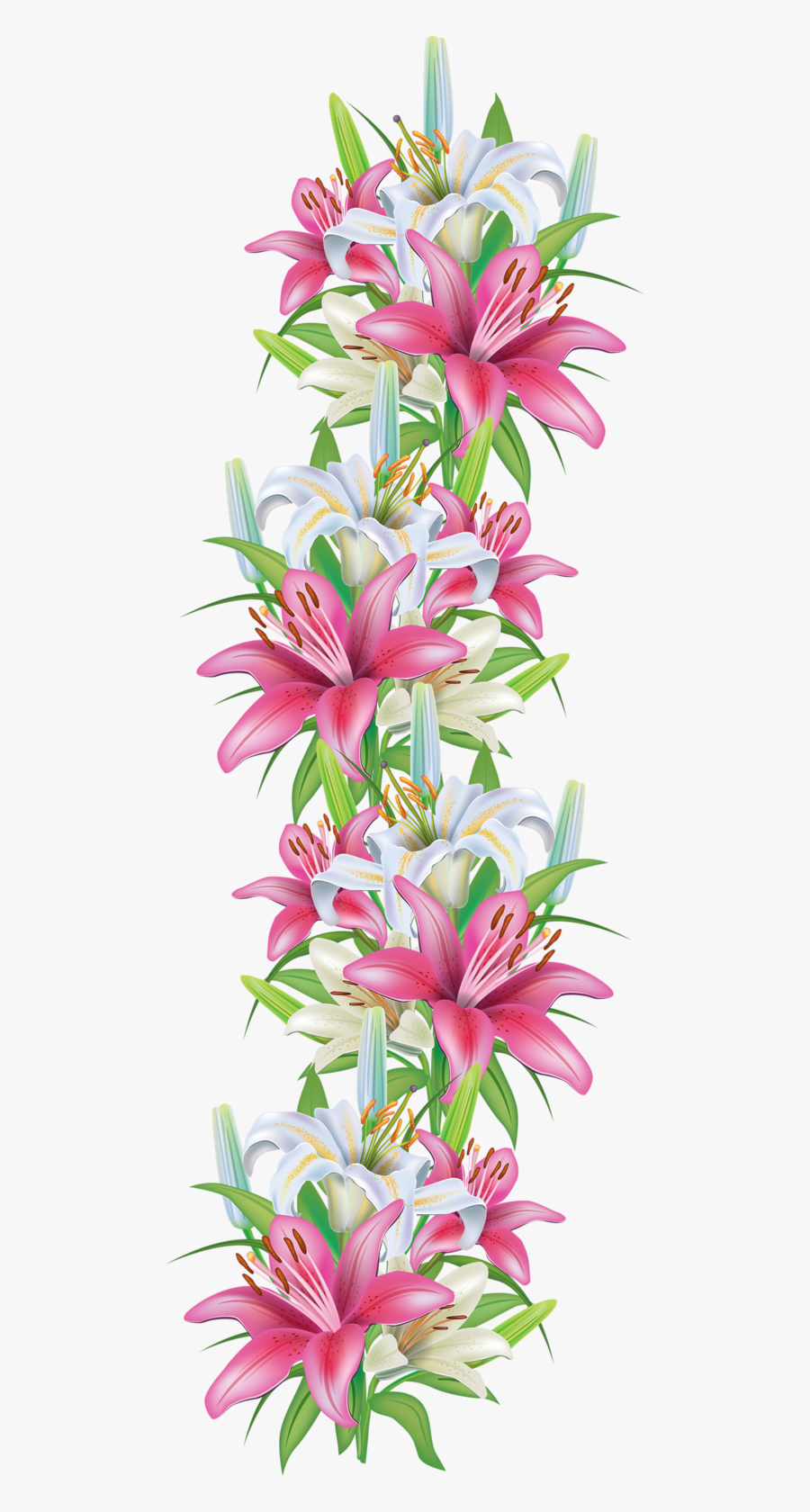 Transparent Lily Flower Png - Pink Lily Flower Border, Transparent Clipart