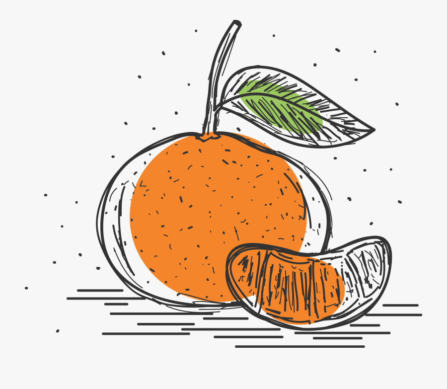 Clip Black And White Grapefruit Drawing - Pomelo, Transparent Clipart