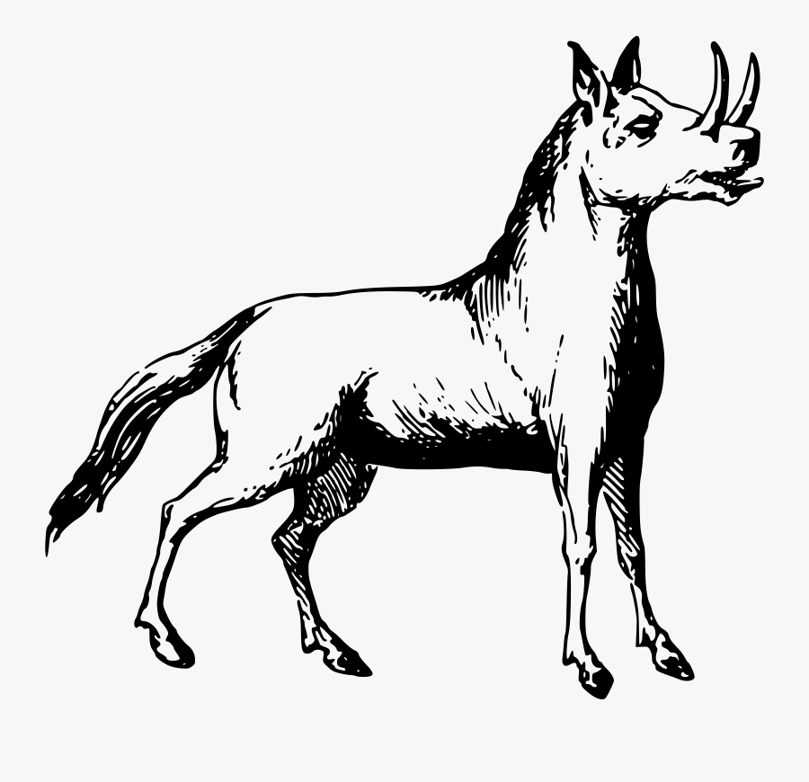 Donkey,pony,livestock - African Monster, Transparent Clipart
