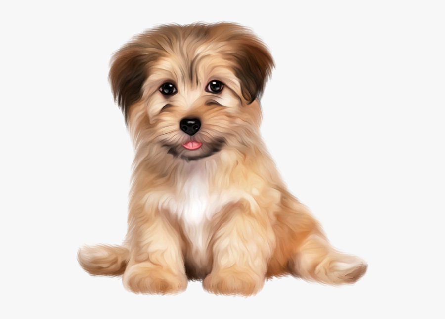 Size By Animal Baby App, Transparent Clipart