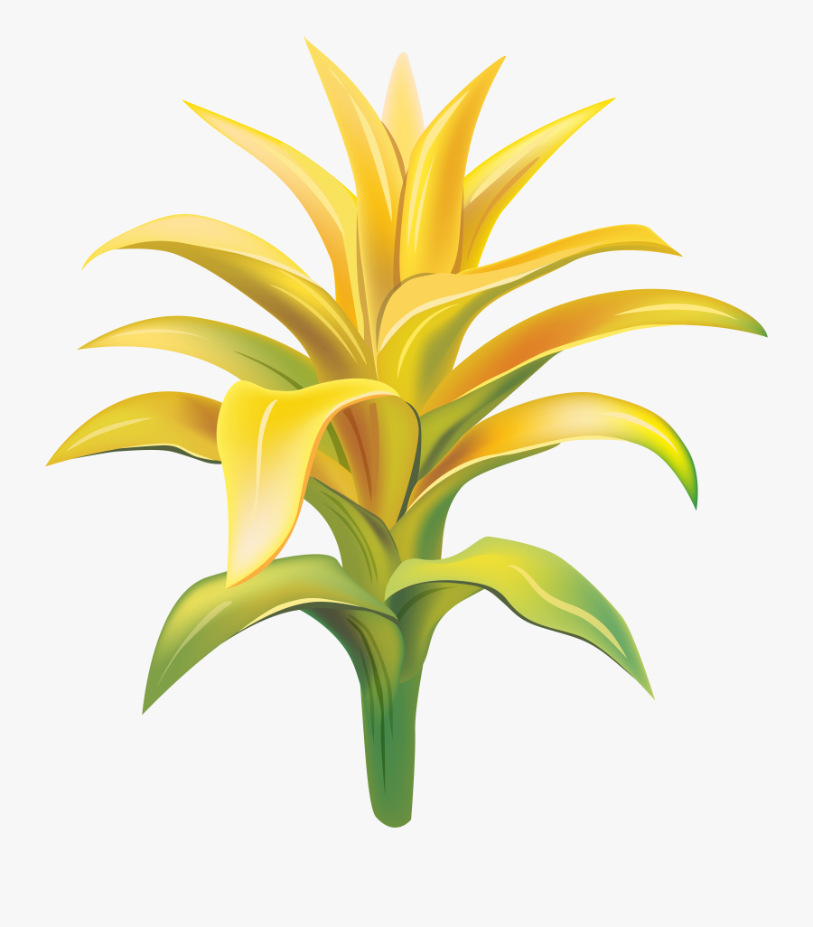 Tropical Exotic Flowers Png, Transparent Clipart