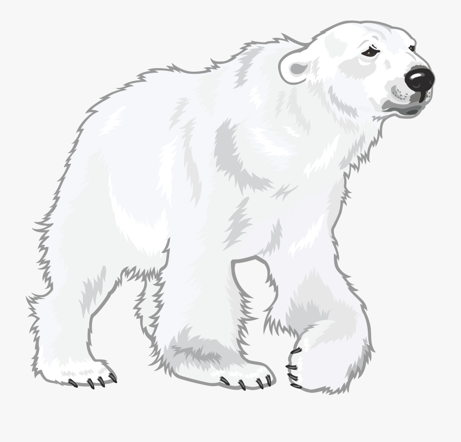 Transparent Polar Bear Cub Clipart - Polar Bear, Transparent Clipart