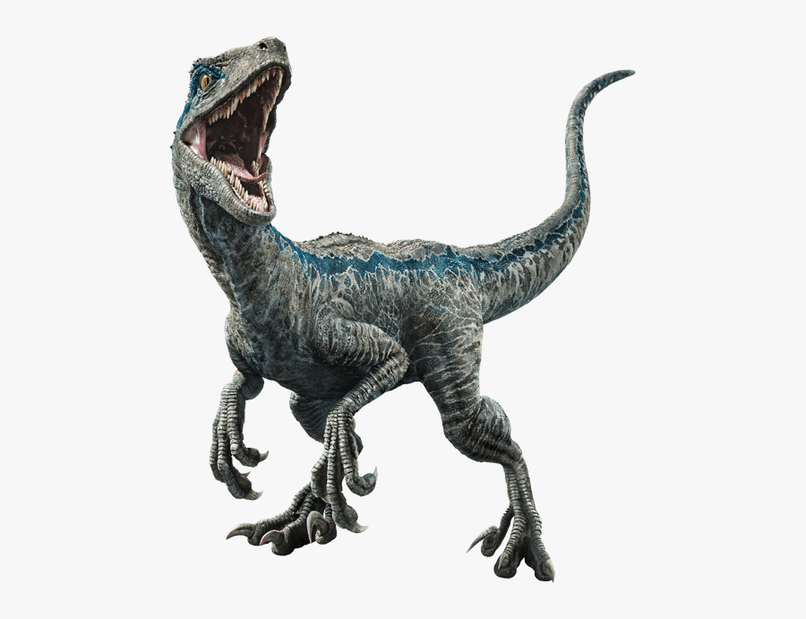 Clip Art Jurassic World Png - Blue Velociraptor , Free Transparent
