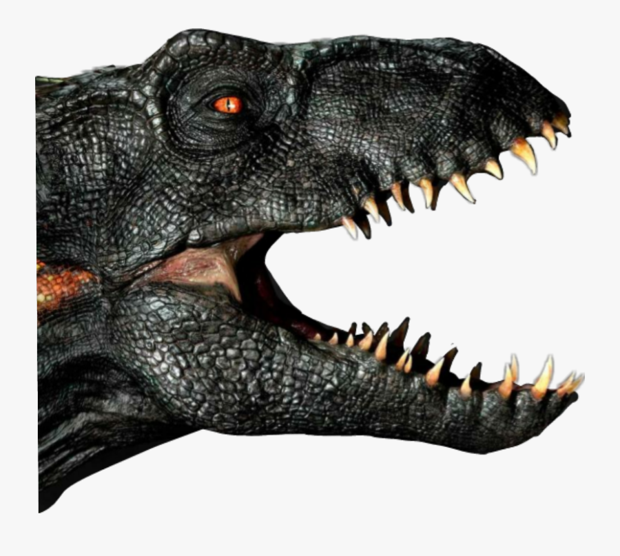 #jurassicworld #jurassicworld2 #indoraptor #dinosaur - Jurassic World Indoraptor Head, Transparent Clipart