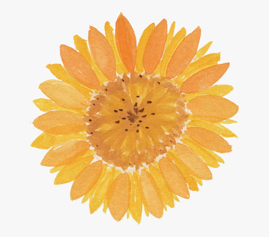 Watercolor Sunflower Png - Transparent Background Watercolor Sunflower Png, Transparent Clipart