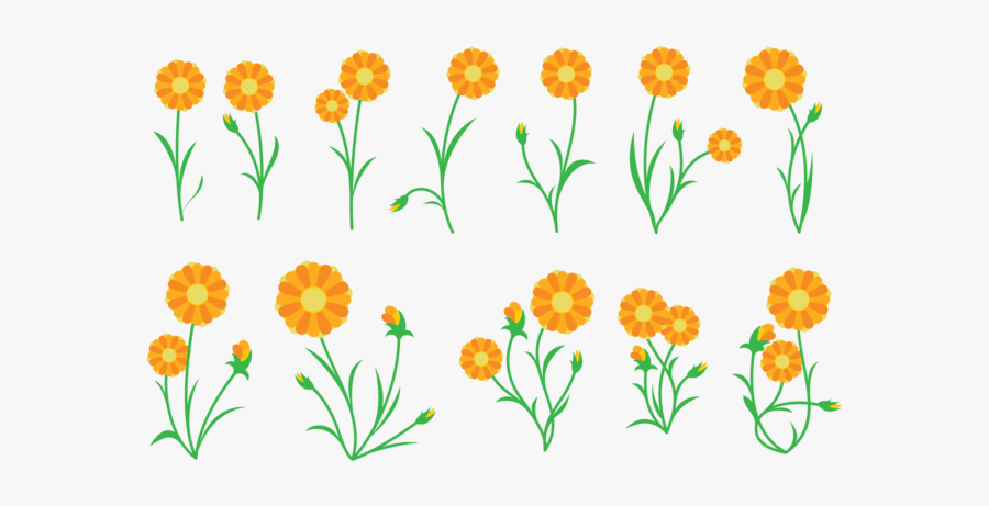 Marigold Clipart Vector - Calendula Flor Ilustracion Png, Transparent Clipart