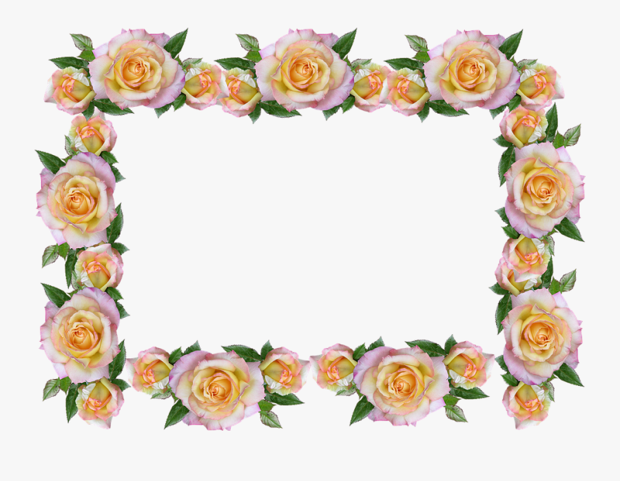 Frame, Border, Peace Rose, Decorative - Decorative Rose Border Design, Transparent Clipart