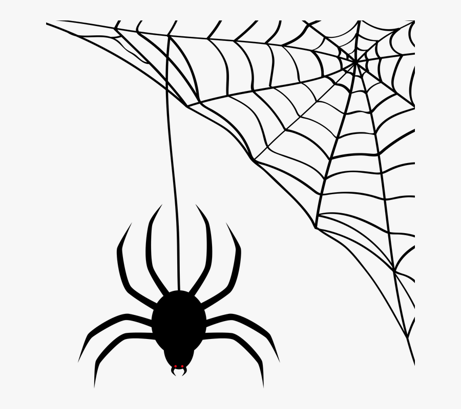 Transparent Background Spider Web Clipart, Transparent Clipart